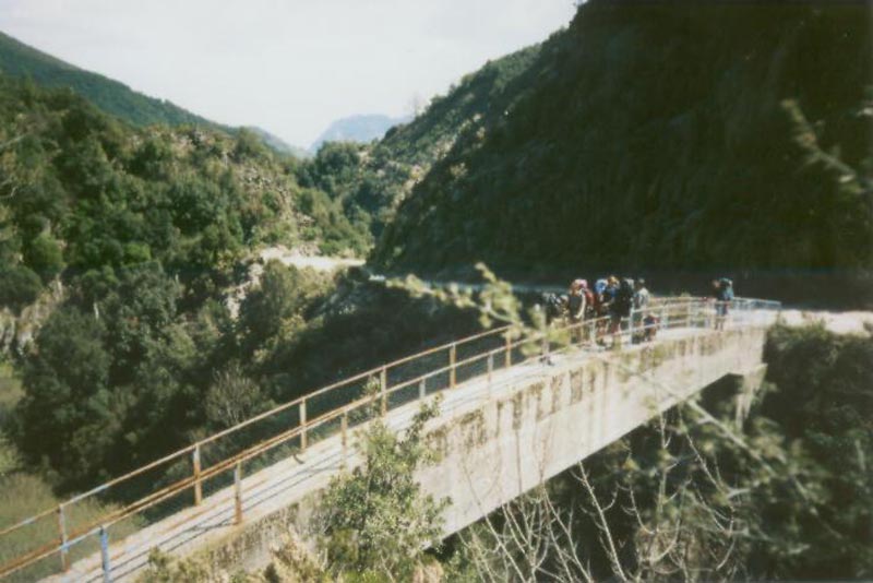 Die Konstrukteure werden wohl gewut haben, warum sie hier eine derartig massive Betonbrcke nur fr Fugnger gebaut haben