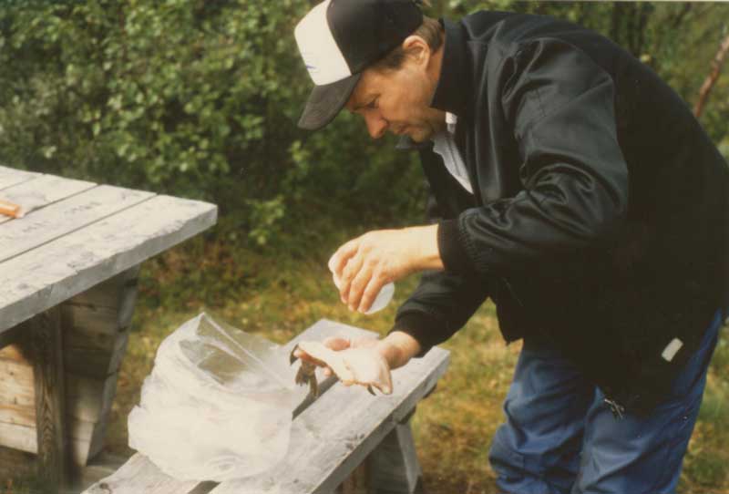 Ein schwedischer Ranger schenkt uns Fische und bereitet sie gleich fachmnnisch fr uns zu