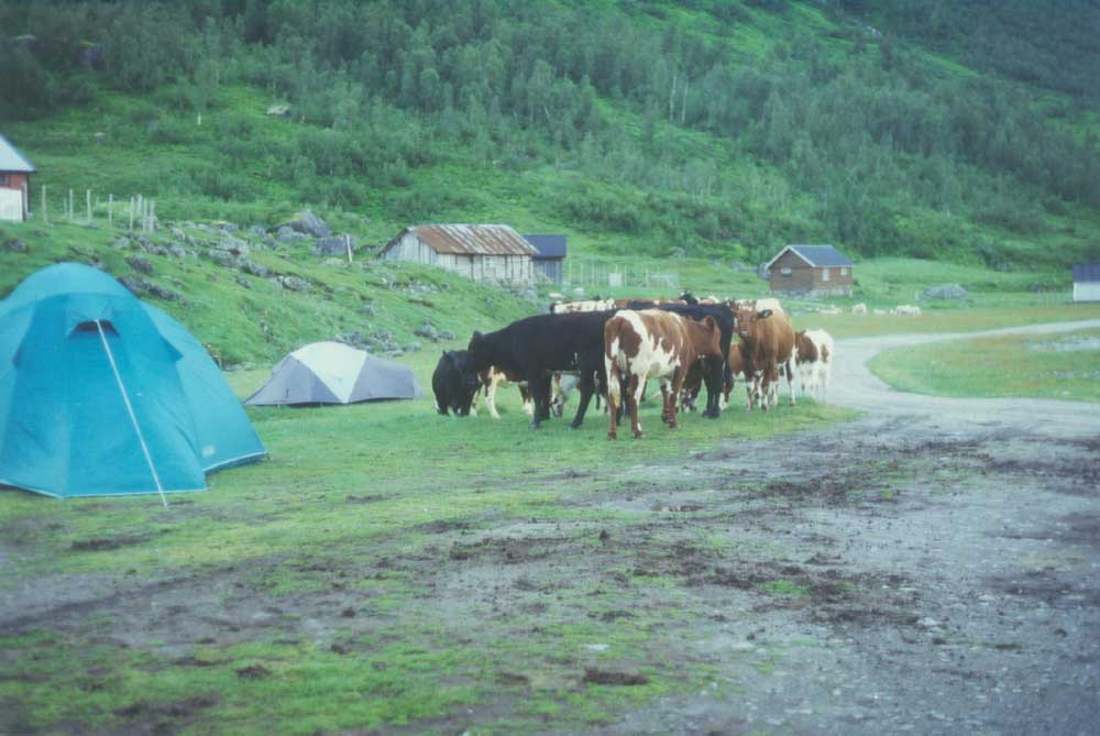 Morgenstimmung an der Tungastolen-Htte