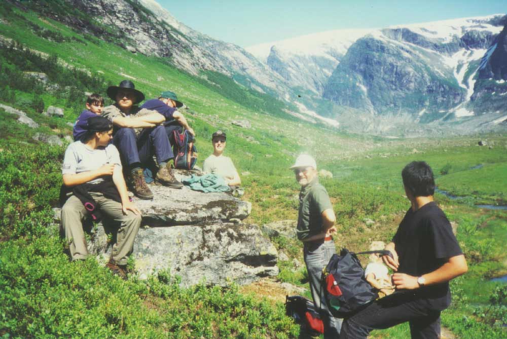 Anmarschweg zum noch weit entfernt liegenden Austedalsbreen