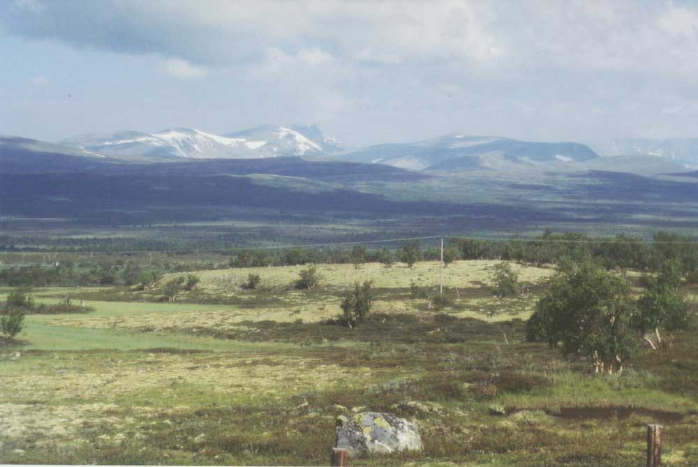 Blick ber das Dovrefjell hinber zur Snhetta