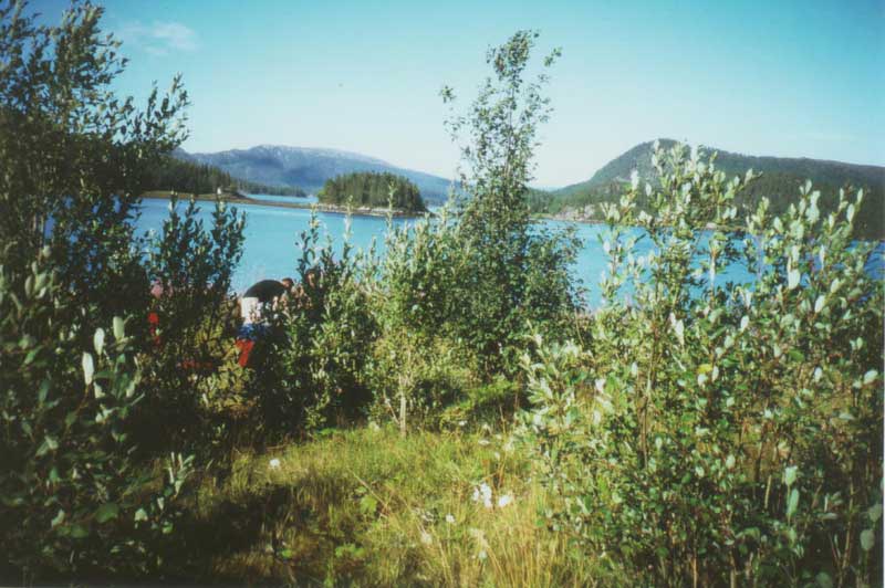 Ein idyllisches Lagerpltzchen direkt neben der Strae; gut geschtzt gegen neugierige Blicke