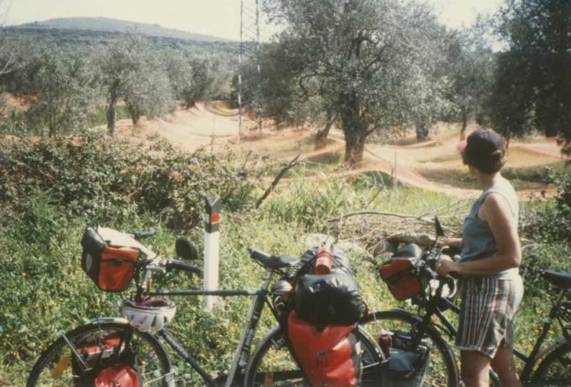 Olivenernte mit Hilfe von Netzen