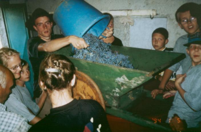 Jetzt werden noch 500 Liter per Hand gekeltert