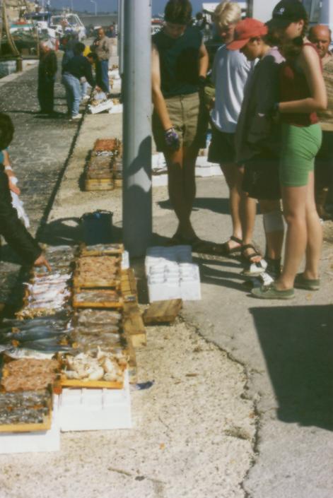 Fischausbeute am Hafen von Sciacca