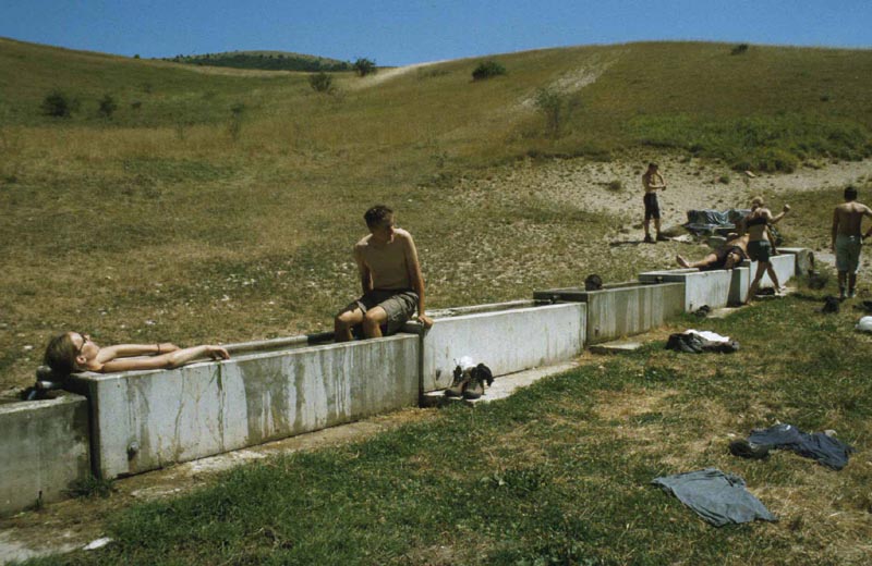 erfrischendes Bad in der Viehtrnke  beim Acqarotal