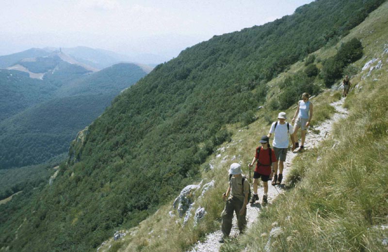 Weg hinauf zum alten H�hleneingang